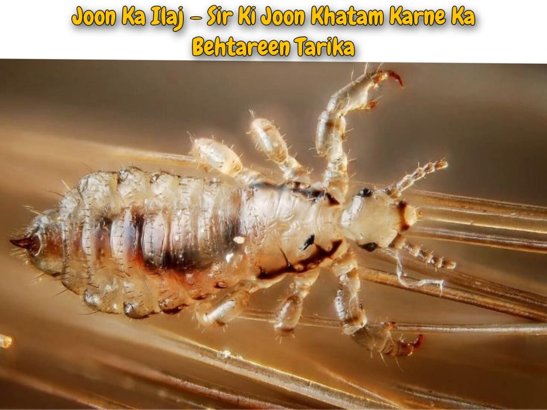 Sir Ki Joon